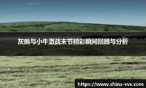  333体育官方网站